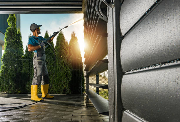 Best Roof Power Washing Services  in Cleveland, MS