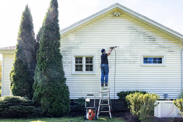 Best Roof Pressure Washing  in Cleveland, MS