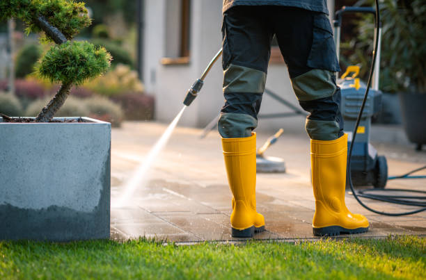 Best Residential Pressure Washing Services  in Cleveland, MS